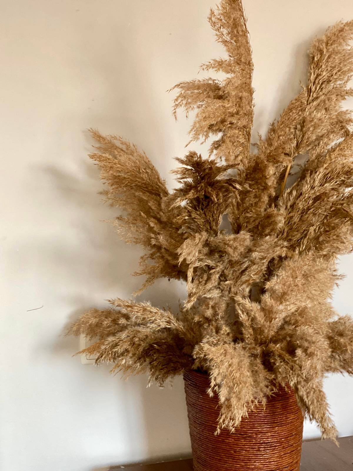 White pampas grass decor Tutorial video Wildflower bouquet Etsy