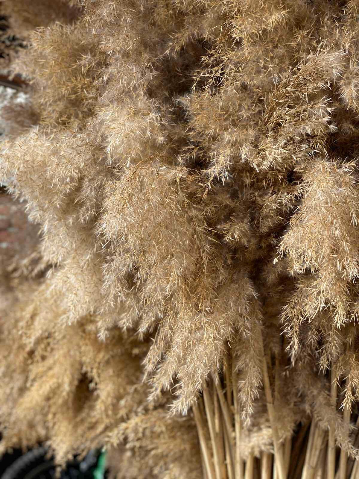 White pampas grass decor Tutorial video Wildflower bouquet Etsy