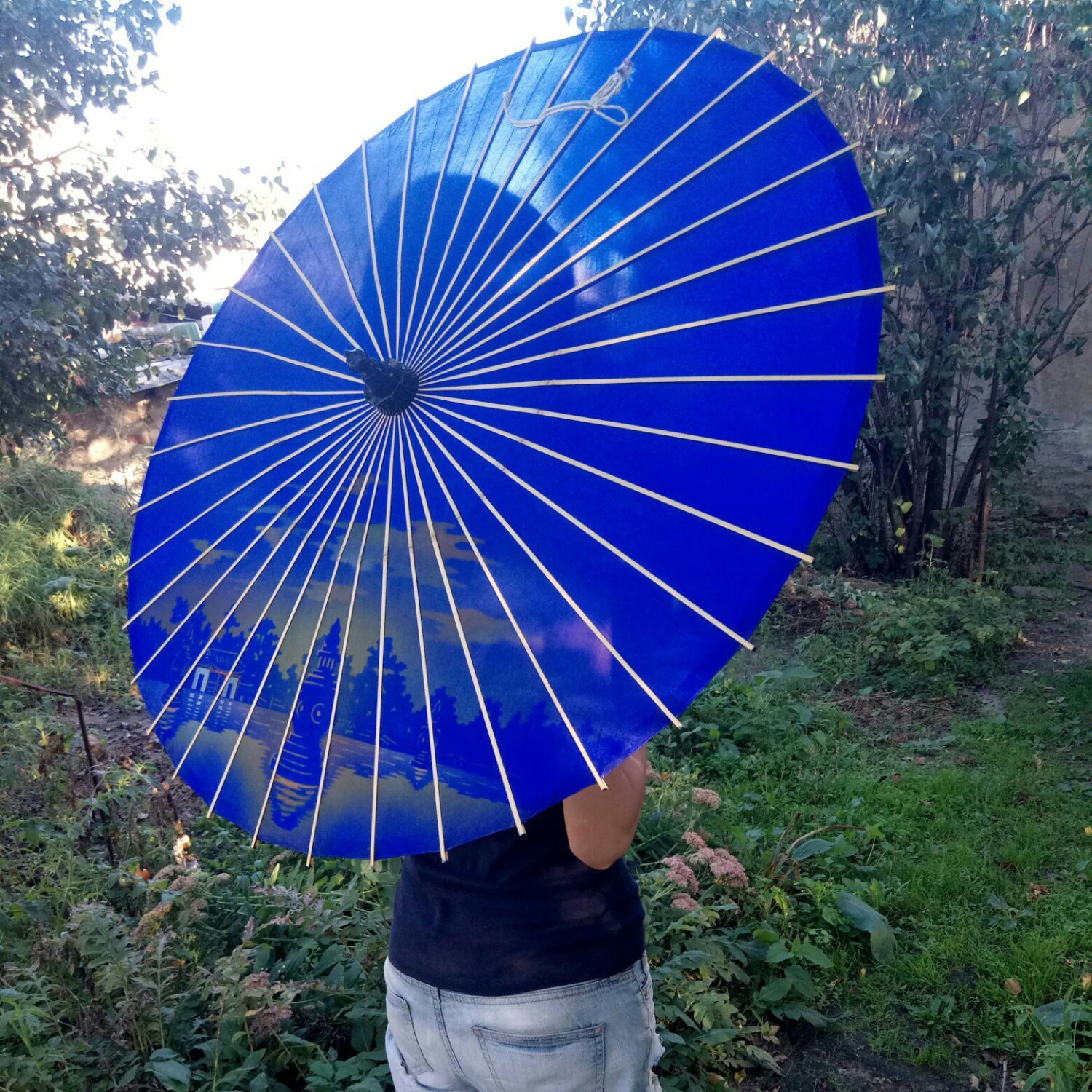 Oriental umbrella Silk parasol Vintage Silk umbrella Hand Etsy