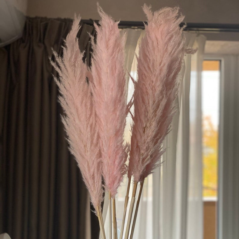 Pink pampas grass decor Feather reed grass Trockenblumen Hygge Etsy
