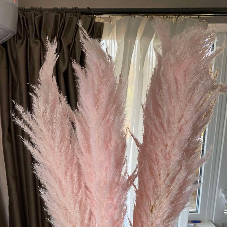 Pink pampas grass decor Feather reed grass Trockenblumen Hygge Etsy