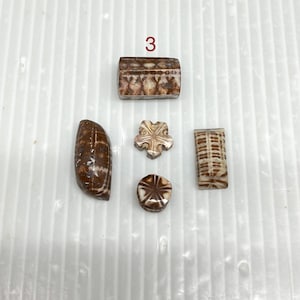 Seltenes Crinoid Fossil - Authentisches Seelilien Fossil Specimen - Prähistorisches Meeres Fossil für Sammler & Home Decor