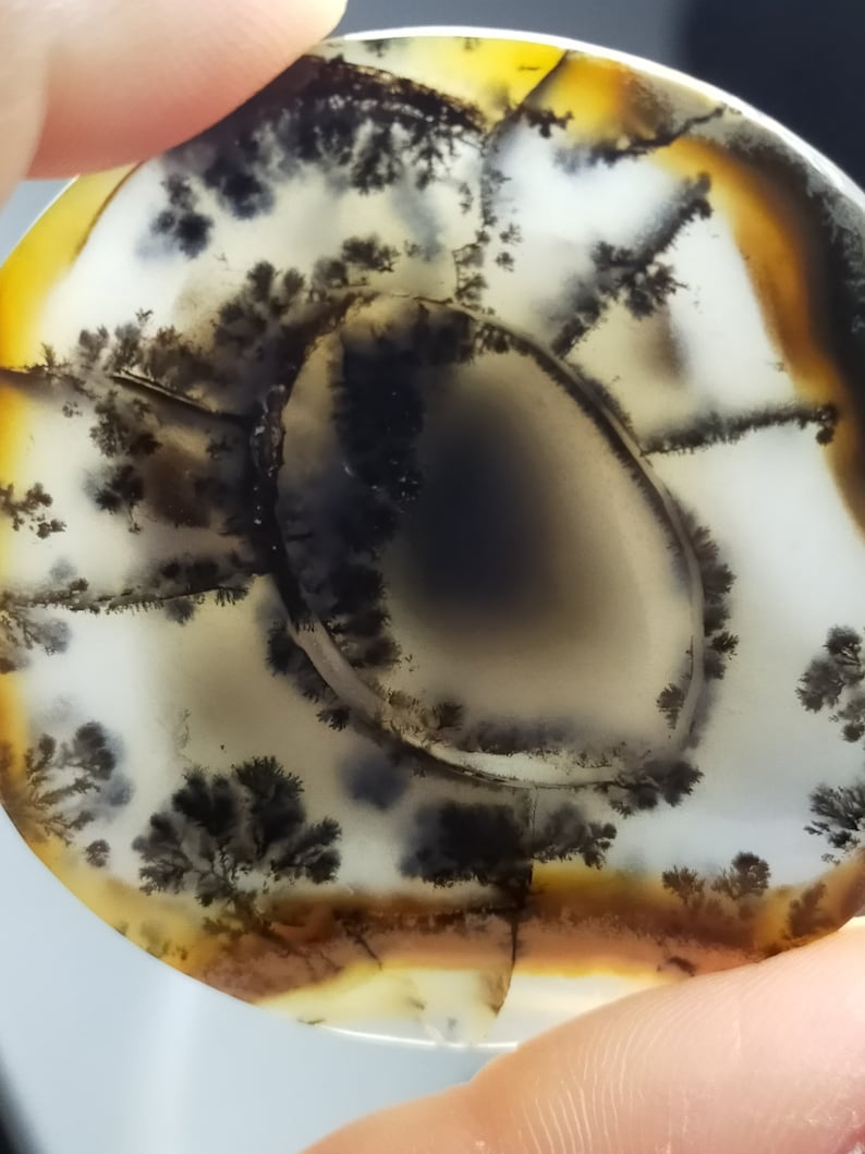 Dendritic agate cabochon