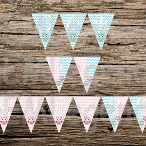 Gender Reveal Party Banner, Gender Reveal Banner, Gender Reveal Party,Owl Gender Reveal Banner, INSTANT DOWNLOAD