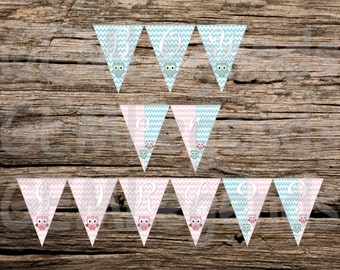 Banner de festa de revelação de gênero, Banner de revelação de gênero, Festa de revelação de gênero, Banner de revelação de gênero de coruja, DOWNLOAD INSTANTÂNEO
