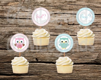 Toppers de cupcake com revelação de gênero, festa de revelação de gênero, toppers de revelação de gênero, revelação de gênero, revelação de gênero de coruja, DOWNLOAD INSTAND