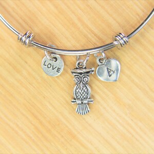 May include: A silver charm bracelet with a silver owl charm, a silver heart charm with the letter A, and a silver charm with the word "LOVE" on it.