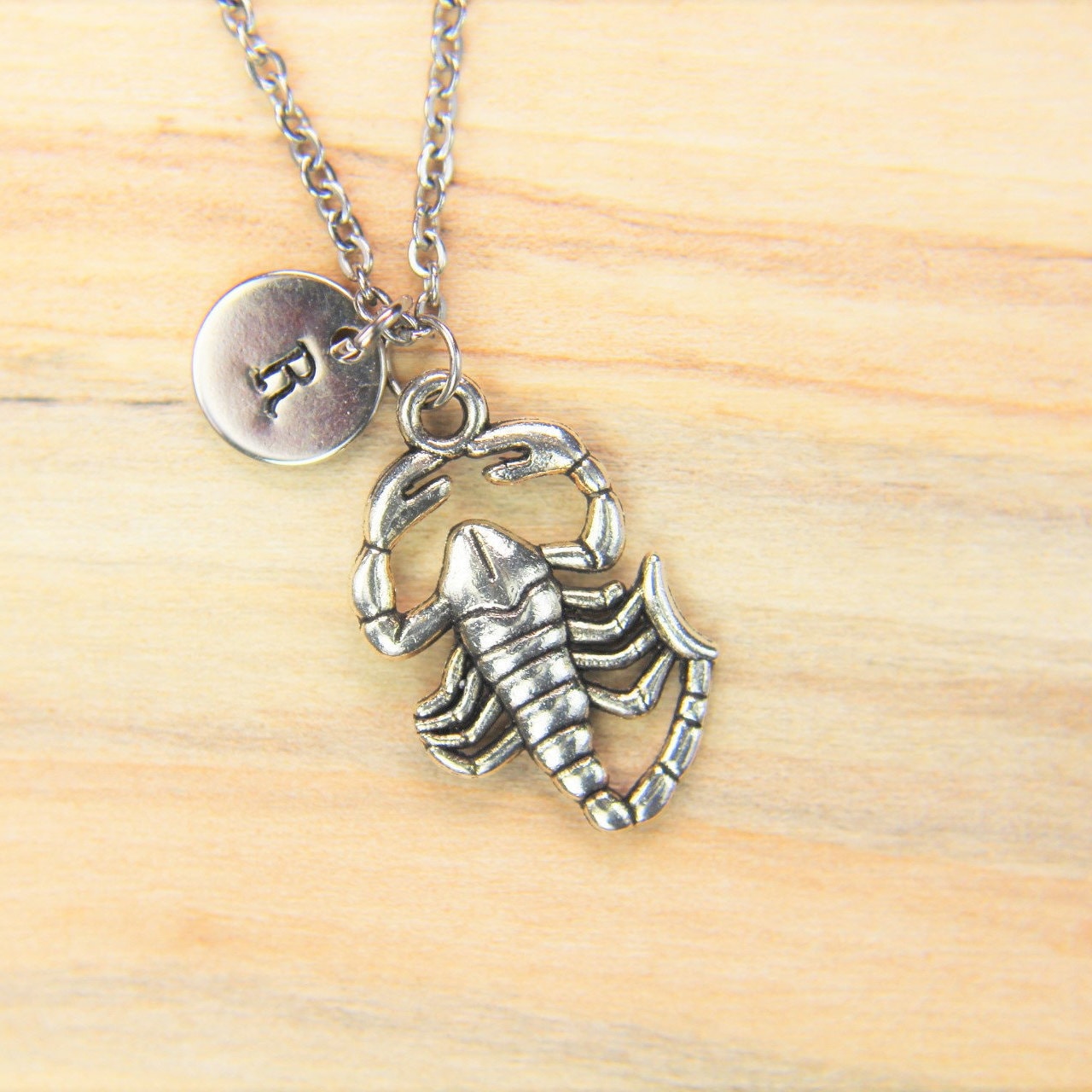 Scorpion Necklace Silver Scorpion Charm Necklace Scorpion Charm