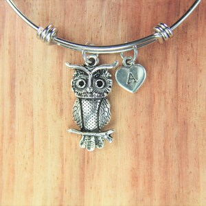 May include: A silver expandable bracelet with an owl charm and a heart charm with the letter A on it.