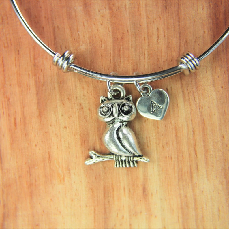 Owl Big Charm Bracelet Owl Big Charm Bangle Owl Charm Owl Big Gift Halloween Gift Animal Charm Personalized Bangle Initial Charm