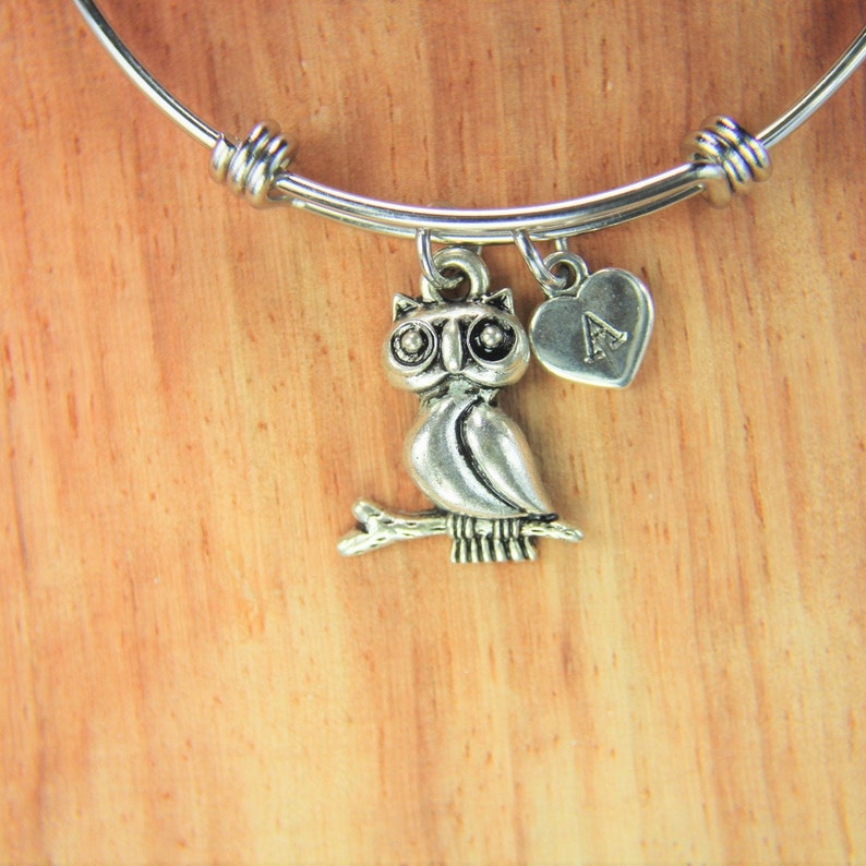 Owl Big Charm Bracelet Owl Big Charm Bangle Owl Charm Owl Big Gift Halloween Gift Animal Charm Personalized Bangle Initial Charm