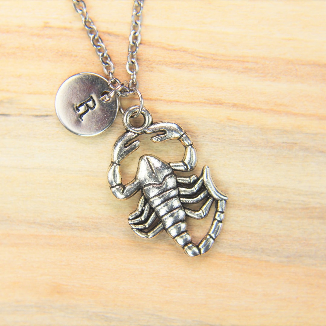Scorpion Necklace Silver Scorpion Charm Necklace Scorpion Charm