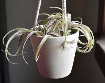 small ceramic hanging planter in matte white - simple succulent planter white