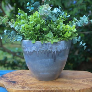 May include: A gray ceramic planter with a blue glaze and a drip effect. The planter is filled with green leafy plants.