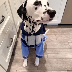 May include: A Dalmatian dog wearing a blue and gray hooded jumpsuit. The dog has black spots on its white fur and is standing on a tiled floor. The jumpsuit has a drawstring hood and cuffs at the ankles.