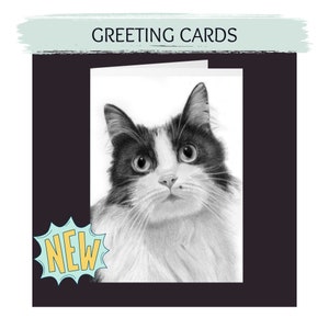 Cat Greeting Card, Blank Card, Cat, Holiday Card, Cat Card, Cat Greeting Cards, Tuxedo Cat, Long Haired Cat, Cat Lover Gifts, Cat Lovers