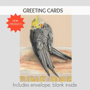 Parrot Nymph, Bird Cards, Birds, Blank Card, Parrot, Parrot Cards, Greeting Cards, Holiday Cards, Bird Greeting Cards, Bird Art, Bird Print