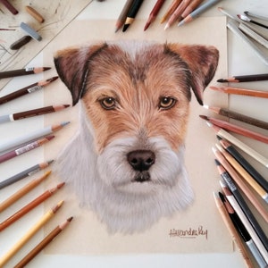 CUSTOM PET PORTRAIT  from your favorite photo, Pastel Pet Portrait, Parson Russell Terrier, Dog Portrait, Custom Pet drawing, Gift for her