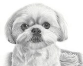 Dog Portrait Custom Pet Drawing Christmas Gifts for her or him - Shih Tzu, Yorkie Mom, Pet Portrait, Pet Memorial, Maltese, Dog Lover Gift