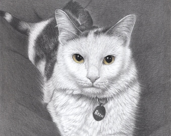 Custom Cat Drawing from photo, Pet drawing, Cat Memorial, Pet Portrait, Pet loss gifts, Cat Art, Cat Portrait Custom, Gift for her, Pet loss