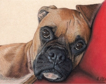 Boxer dog, Portrait from photo, Dog Portrait, Loss, Pet portrait custom, Dog Portrait, Boxer lover, Boyfriend gift, Boxer dog art, Boxer