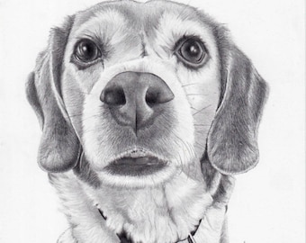 Hand drawn portrait from photo, Pencil Portrait, Dog portrait, Dog memorial, Pet memorial gift, Personalized gift, Gift for her, Dog mom