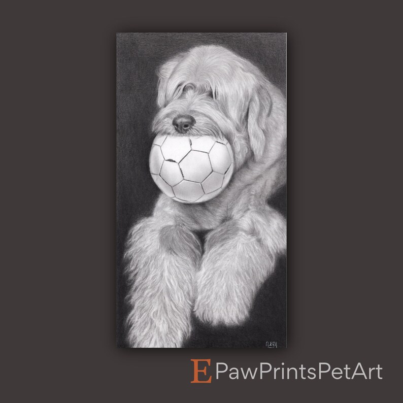May include: A black and white pencil drawing of a dog holding a soccer ball in its mouth. The dog is sitting down with its front paws crossed. The drawing is on a black background.
