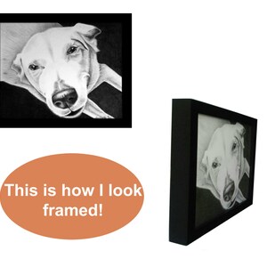 May include: Black and white pencil drawing of a dog's head in a black frame. The dog is a white labrador retriever with its head tilted to the side and its tongue slightly sticking out. The drawing is framed in a black frame with a white mat.