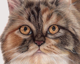 CUSTOM CAT PORTRAIT from Photo, Hand Drawn Cat Portrait, Personalized Cat Gift, Cat Memorial Gift, Original Pastel Pet Portrait