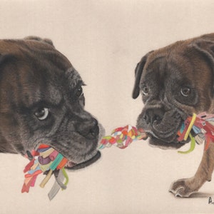 Boxer portrait, Portrait from photo, Dog Portrait, Pet loss gift, Boxer gift, Boxer, Dog Portrait, Boxer lover, Boyfriend gift, Boxer dog,