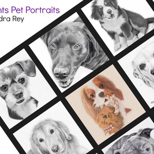 May include: A collage of nine black and white pencil drawings of dogs. Each drawing is framed in a black square. The title "Paw Prints Pet Portraits by Alexandra Rey" is at the top of the collage.