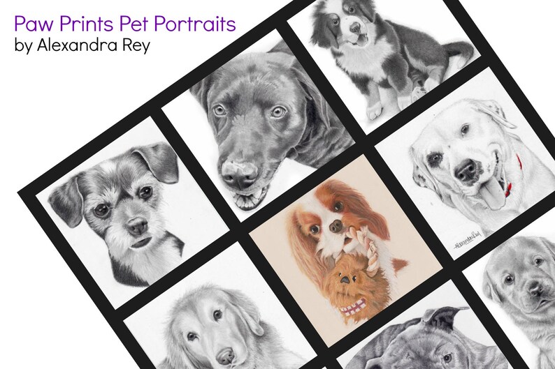 May include: A collage of nine black and white pencil drawings of dogs. Each drawing is framed in a black square. The title "Paw Prints Pet Portraits by Alexandra Rey" is at the top of the collage.