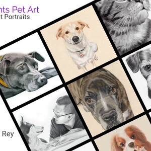 Op de afbeelding: Een collage van aangepaste huisdierportretten getekend met potlood. De portretten tonen een verscheidenheid aan dieren, waaronder honden en katten. De naam van de kunstenaar, Alexandra Rey, staat onderaan de collage.