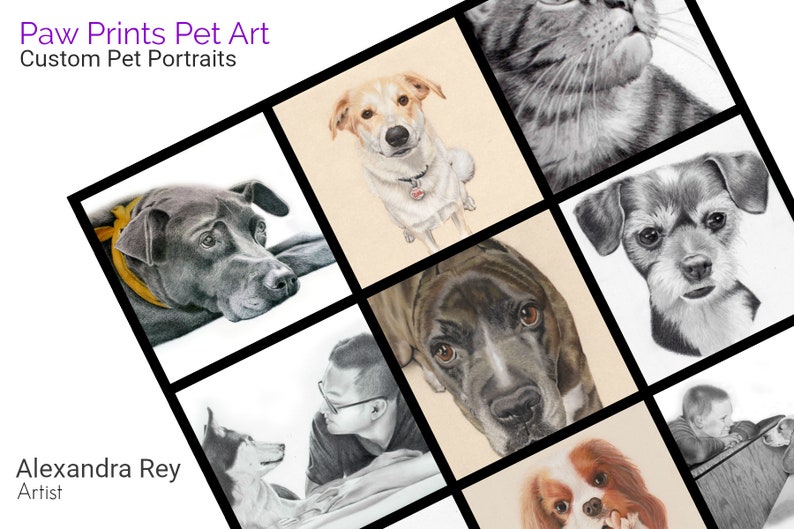Op de afbeelding: Een collage van aangepaste huisdierportretten getekend met potlood. De portretten tonen een verscheidenheid aan dieren, waaronder honden en katten. De naam van de kunstenaar, Alexandra Rey, staat onderaan de collage.