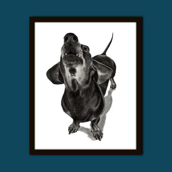 Dachshund gift, Dachshund art, Charcoal portrait, Dachshund art work, Dachshund art prints, Dachshund decor, dog art,  pet portrait charcoal
