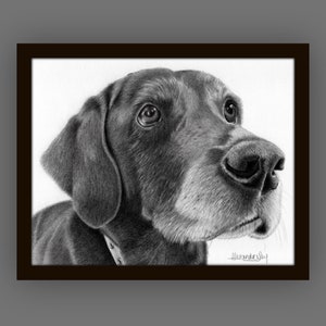 PET PORTRAIT from your favorite photo, Labrador, Dog Portrait, Custom pet portrait, Gift for her, Pet memorial, Dog memorial, pet loss image 5