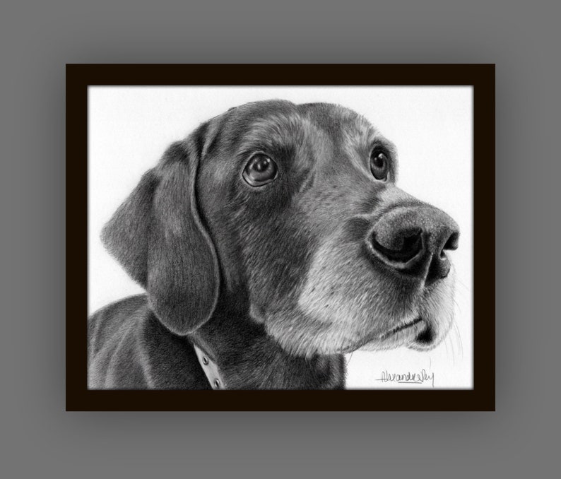 PET PORTRAIT from your favorite photo, Labrador, Dog Portrait, Custom pet portrait, Gift for her, Pet memorial, Dog memorial, pet loss image 5