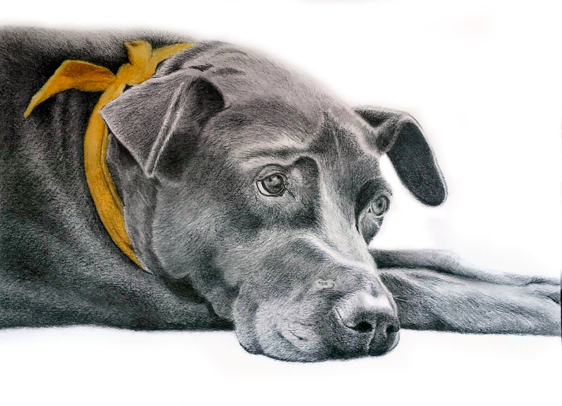 PET PORTRAIT from your favorite photo, Labrador, Dog Portrait, Custom pet portrait, Gift for her, Pet memorial, Dog memorial, pet loss image 1