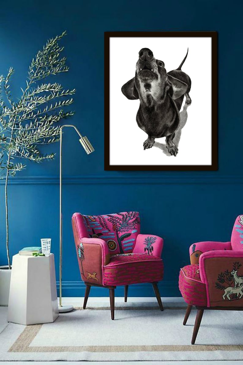 Op de afbeelding: Een zwart-witte tekening van een teckel met zijn bek open, kijkend naar boven. De tekening is ingelijst en hangt aan een blauwe muur.