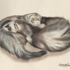 FERRET GIFT, Ferret, Ferret lover gift, , Portrait from photo, Ferret Art, Pet Memorial, Pet Loss Gift, Personalized art, birthday present