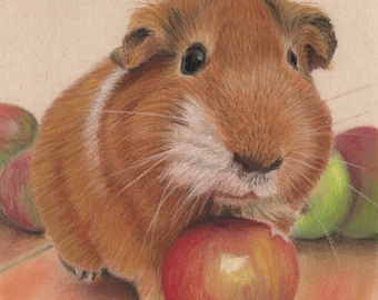 Guinea pig portrait from photo, custom pastel pet art, guinea pig memorial gift, guinea pig lover decor