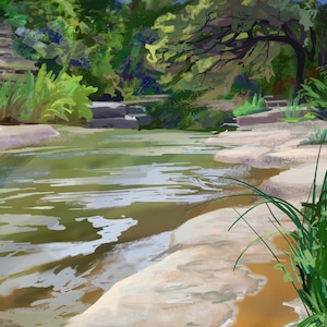 Bull Creek Austin Texas Print