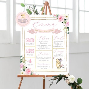 Boys 1st Birthday Sign Instant Download Winnie Pooh First Birthday Milestone Poster Blue Yellow Floral Memory Board Editable Template