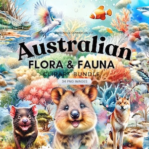 La faune australienne et la nature Clipart - ensemble PNG haute résolution pour la conception et l'éducation, Quokka, crocodile, grand requin blanc, kangourou, opossum