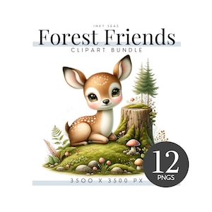 Woodland Animal Clipart Bundle, 12 transparante PNG's, Premium Forest Creatures Illustraties, Digitale Download, Magische Wilderness Critters
