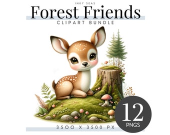 Woodland Animal Clipart Bundle, 12 Transparent PNGs, Premium Forest Creatures Illustrations, Digital Download, Magical Wilderness Critters