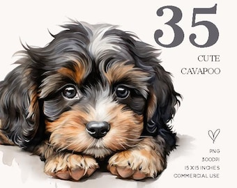 Cavapoo Watercolor Clipart: Dog Breed PNG Portraits (Commercial Use)