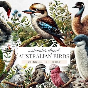 Colección de imágenes prediseñadas de aves australianas, elementos de la naturaleza de la acuarela, ilustraciones de vida silvestre australiana, descarga instantánea para manualidades, invitaciones