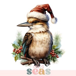 Aquarell australische Weihnachtscliparts, Weihnachten Kookaburra Png, Aquarell Vogel Clipart, kommerzielle Nutzung, Kookaburra Png, digitaler Download