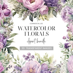 Clipart floral roxo e rosa, 30 buquês de aquarela variados, grinaldas e elementos, rosas, peônias, respiração de bebês, uso comercial Clipart